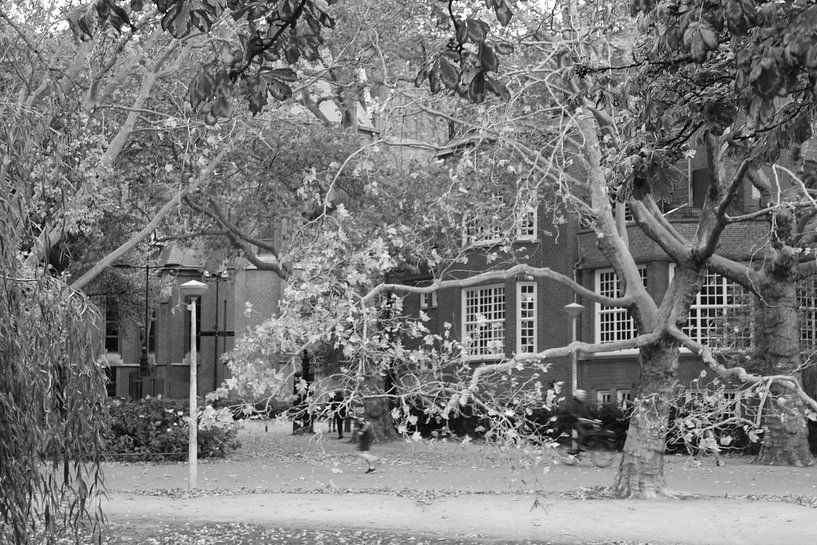 Vondelpark black and white by Vannessa !