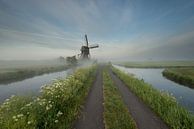 Früher Morgen im Polder von Raoul Baart Miniaturansicht