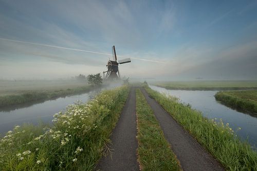 Vroege ochtend in de Polder