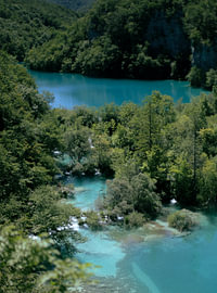 Plitvice Lakes National Park by Hugo Westendorp