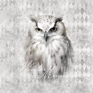 Hibou blanc d'hiver