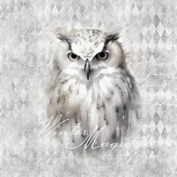 White Winter Wildlife Owl