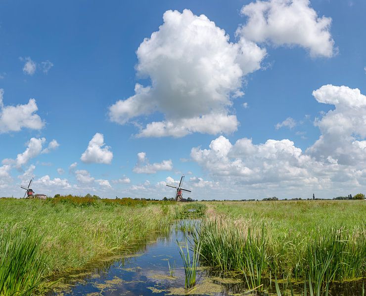Sloot met de twee wipmolens, Hoogmade,  Zuid-Holland van Rene van der Meer