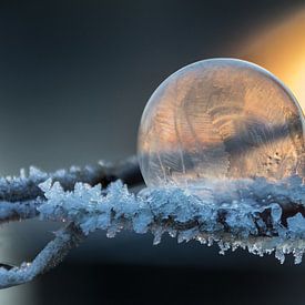 Frozen bubble with the rising sun in the background by Heidi Bol