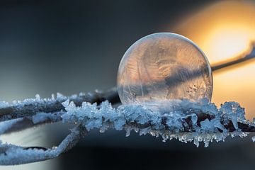 Bevroren zeepbel met op de achtergrond de opkomende zon van Heidi Bol