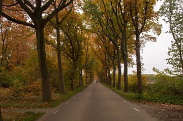 Autumn Road von Rob Veldman