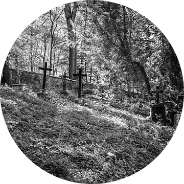 De laatste rustplaats diep verborgen in het bos