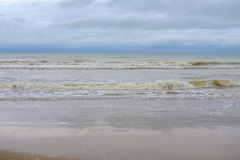 Waves on the beach by Johan Vanbockryck