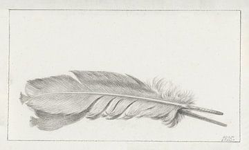 Feather! [old master]