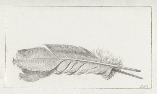 een veer [oude meester]