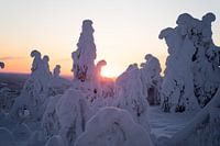 white blanket