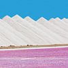 Landschap van witte bergen zout met roze zoutmeer op Bonaire van Ben Schonewille