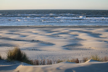 Wind auf dem Meer und am Strand
