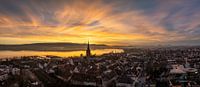Radolfzell aan het Bodenmeer