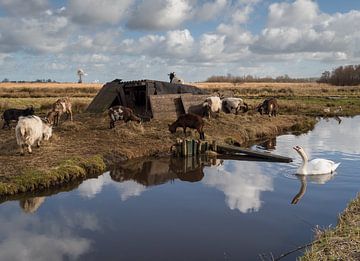 Niederländische Landschaft von Johanna Blankenstein