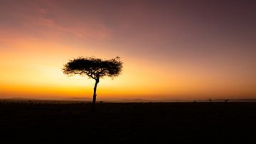 Zonsopkomst in Afrika. van Gunter Nuyts