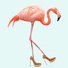 Fancy Flamingo van Jonas Loose