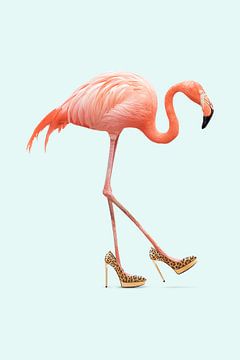 Fancy Flamingo by Jonas Loose