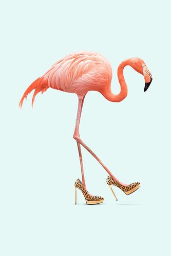 Fancy Flamingo