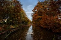 Autumn in Westerwolde