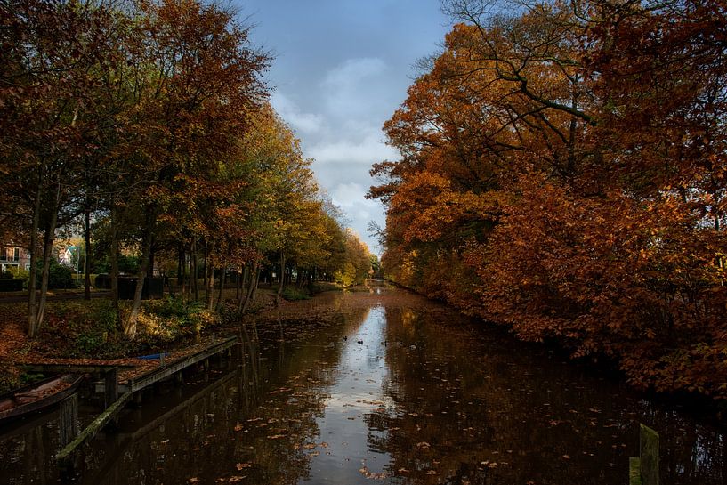 L'automne à Westerwolde par Michel Leertouwer
