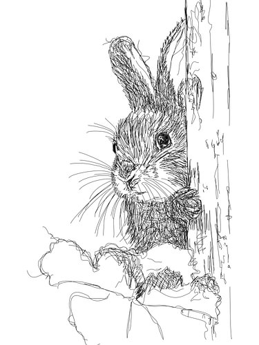 Un lapin dans un arbre