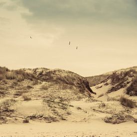 Dünen mit Strandhafer von Martijn Tilroe