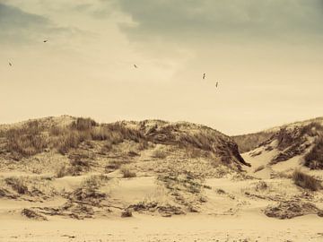 Duinen met helmgras van Martijn Tilroe