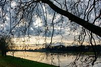 Silhouette at the IJssel
