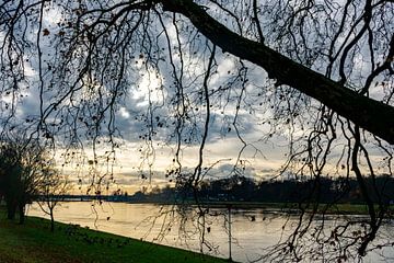 Scherenschnitt an der IJssel von Studio Bosgra