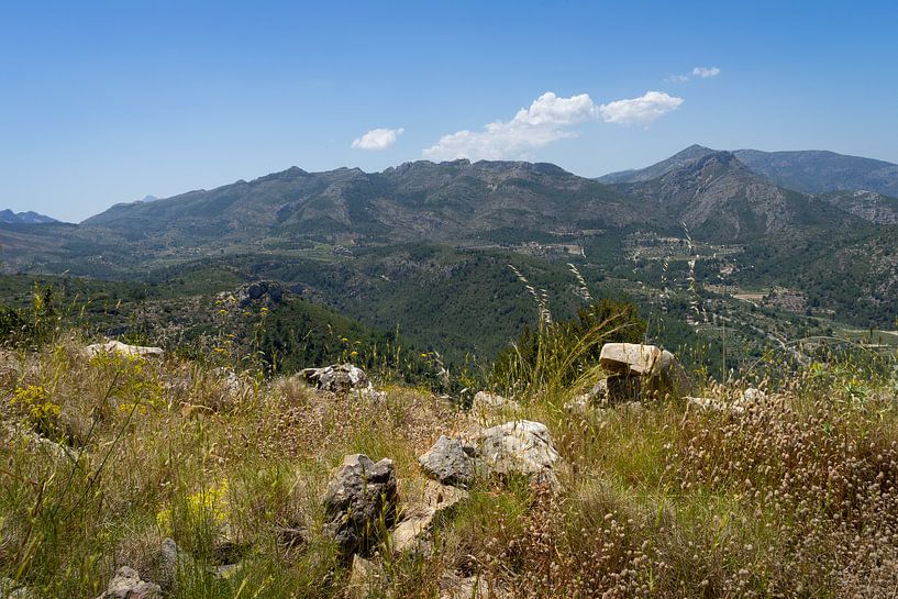 Paysage de montagne et herbes folles par Adriana Mueller