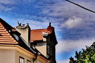 Prag - Ausgewähltes Gebäude von Wout van den Berg Miniaturansicht