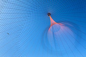 Visnet en een zeemeeuw