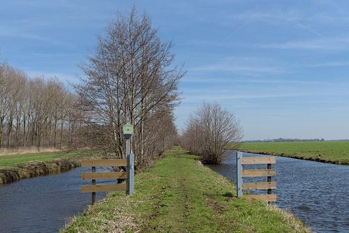 Wandelpad bij het Kraaienbos in Alblasserwaard