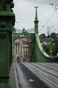 Regenachtige momenten op de Vrijheidsbrug in Boedapest van Nynke Altenburg