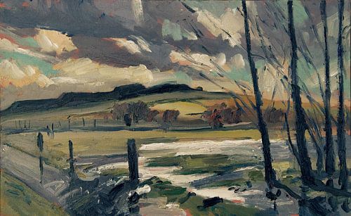 Regenplassen van Nop Briex