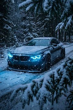 Arktischer Geist von John Dan