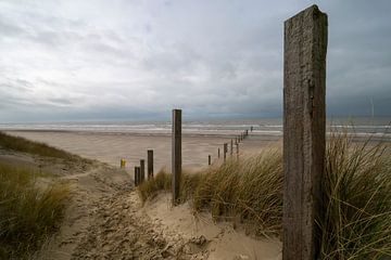 Natuurgebied Noortvoort van Peter Bartelings