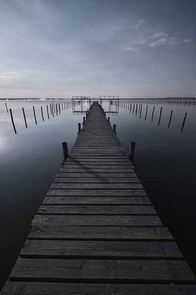 Night of a full moon by Marvin Schweer