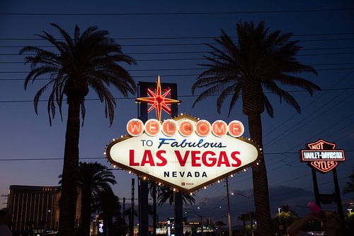 Las Vegas sign tussen palmbomen bij zonsondergang