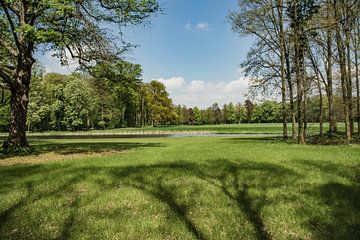 Weids uitzicht op een bos van Klaas Leussink