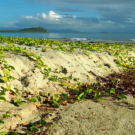 4 Mile Beach, Port Douglas; Far North Queensland - Australia van Van Oostrum Photography