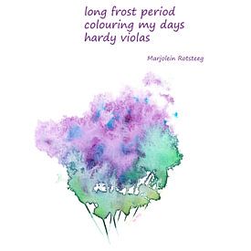 Hardy Violas haiku by Karen Kaspar