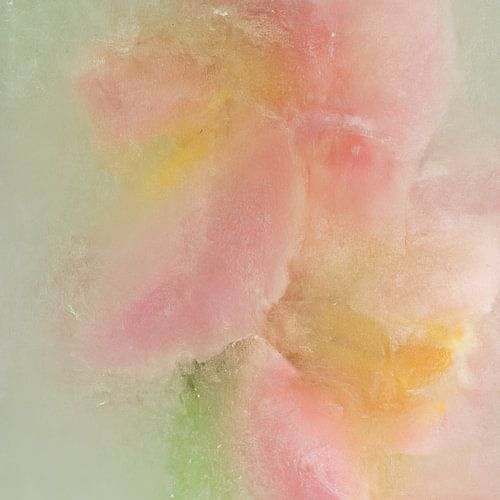 Flowers in ice cream, pastel colours pink, yellow and green