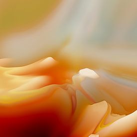 Oranje van Andreas Wemmje