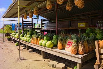 Étalage de fruits au bord de la route à Paramaribo sur Jânio Tjoe-Awie