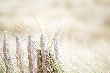 Dune Helmet