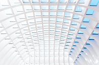 Transparant plafond van Maerten Prins thumbnail