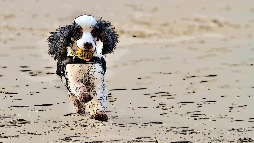 Cocker Spaniel on beach by Eric de Haan