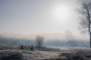 Leersumse veld part 2 van Tania Perneel